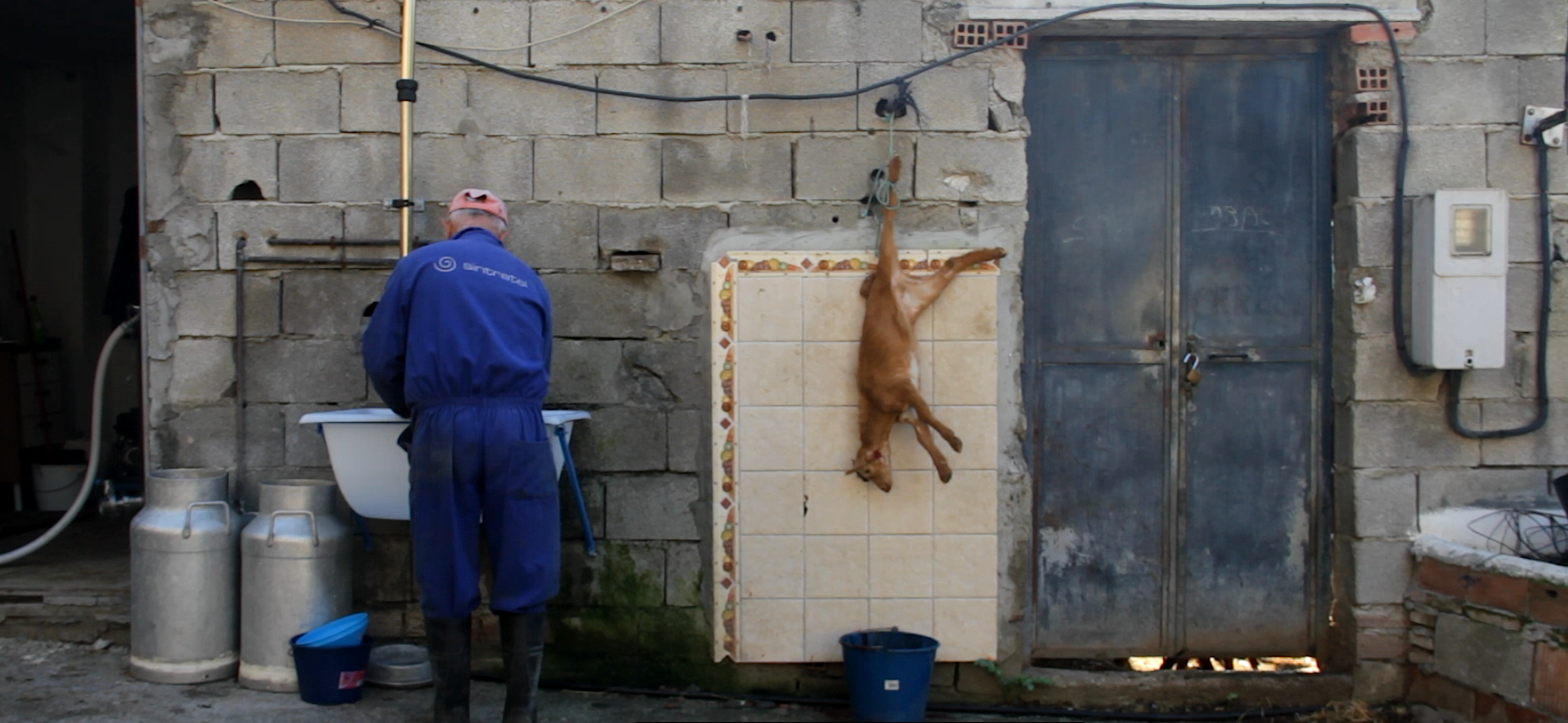 schermafbeelding-2017-01-07-om-12-47-00