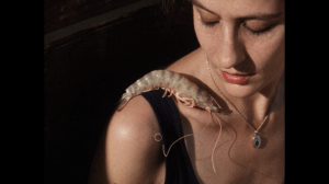 still duende catherine