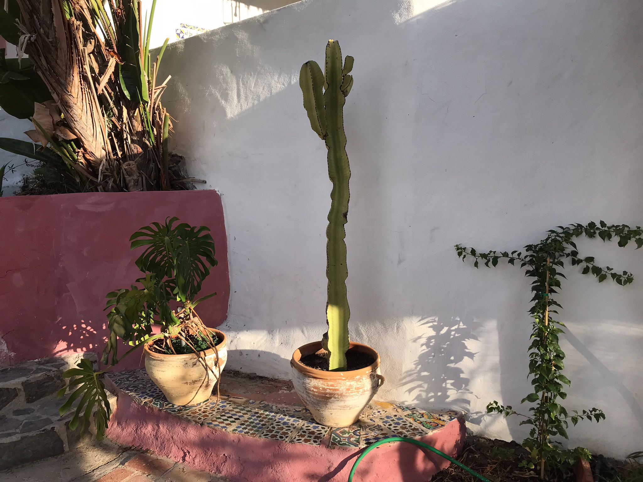 PHOTO-2023-09-01-10-39-03